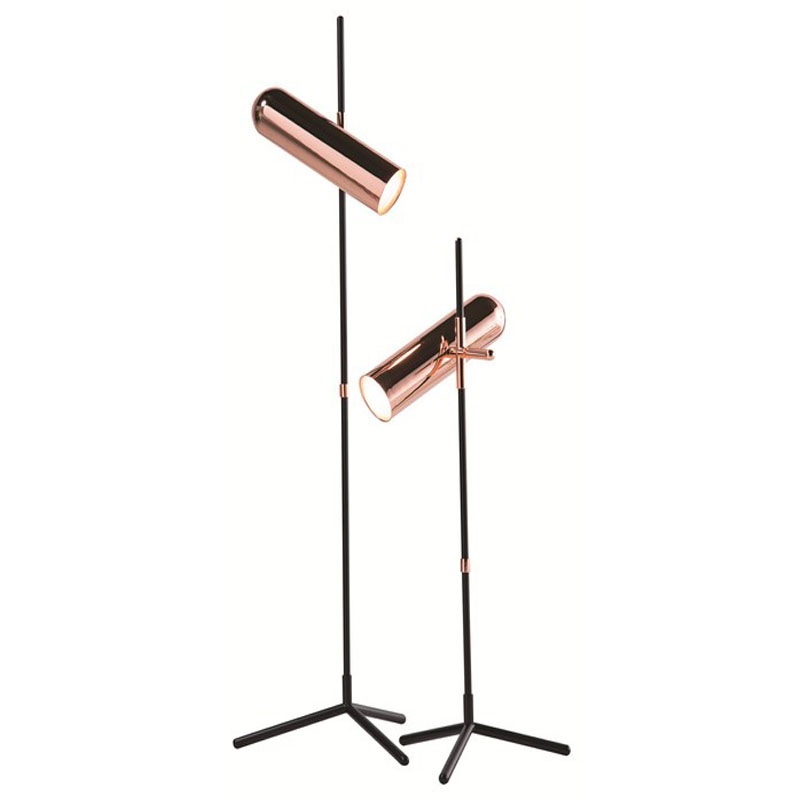 Minimalist Rose Gold Floor Lamp with Adjustable Lights – Ambient & Task Lighting Duo - Image 2