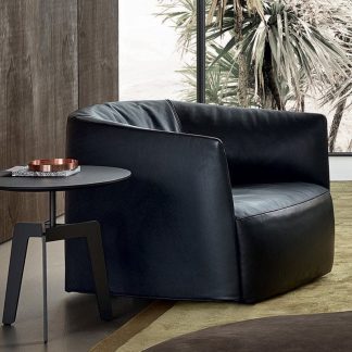 Cozy Modern Lounge Chair for Living Room, Set of 2